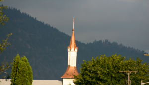 shapeimage_1-19