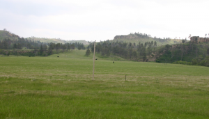 shapeimage_1-54