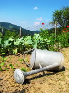 Top Ten Lessons in a Drought Year