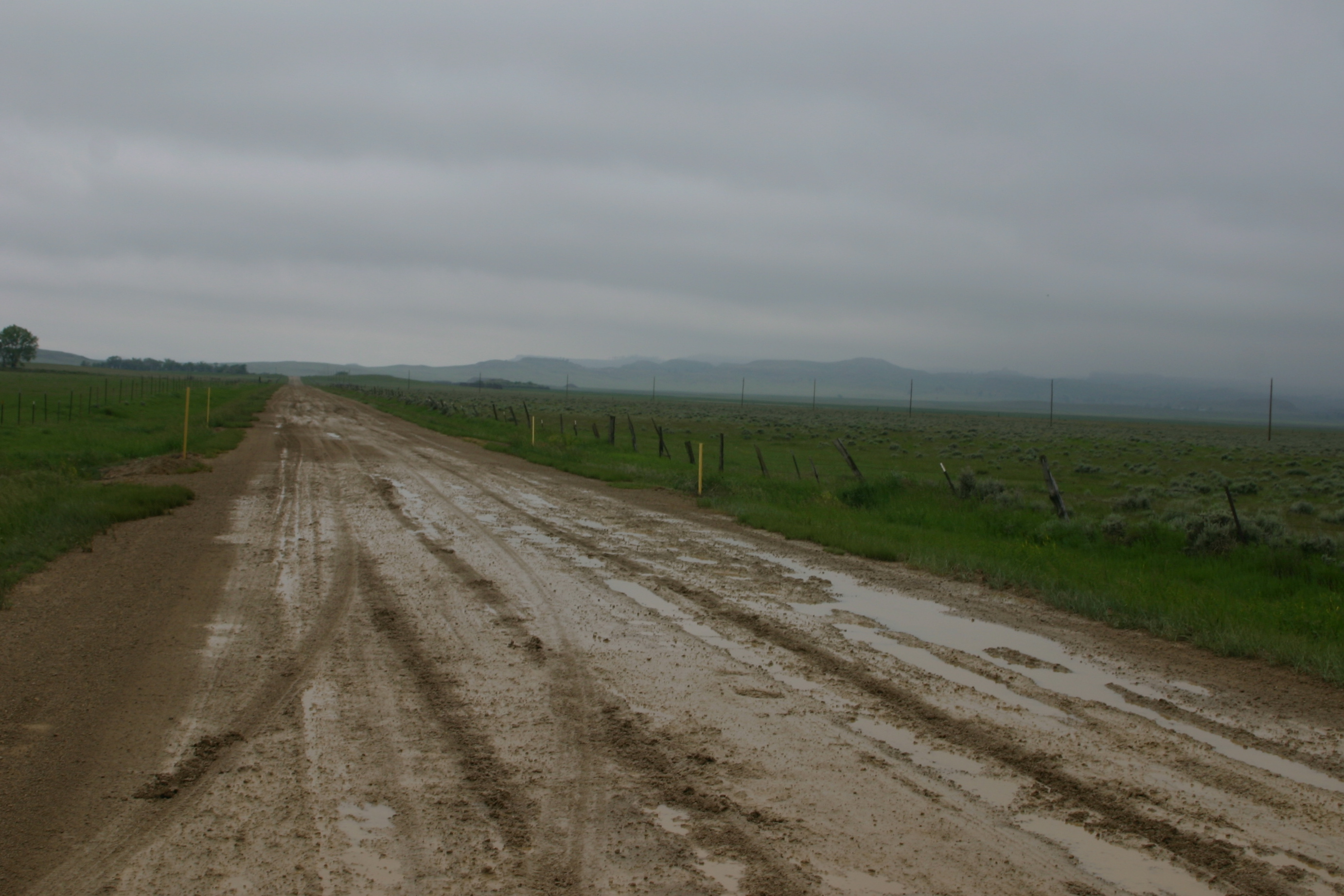 State Highway 20 west of Camp Crook, three miles from the Montana border.