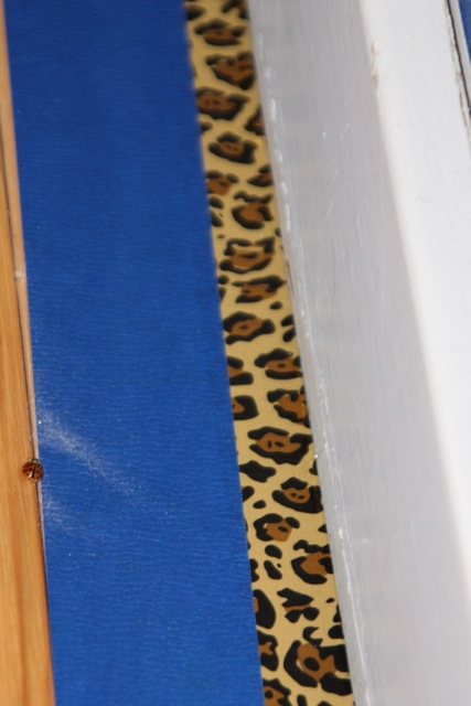 Leopard skin remodeling