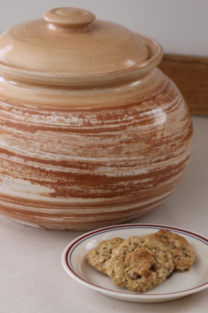 Coconut cookies dairy-free