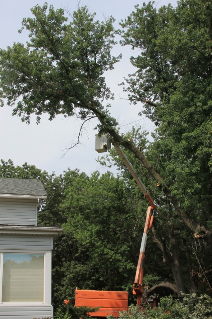 What happens when you combine 2 girls, 1 Barbie doll, a huge tree, a clothes hanger, and a second story bedroom? A Barbie Zipline, of course.