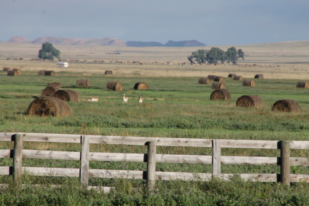 Harding County miles