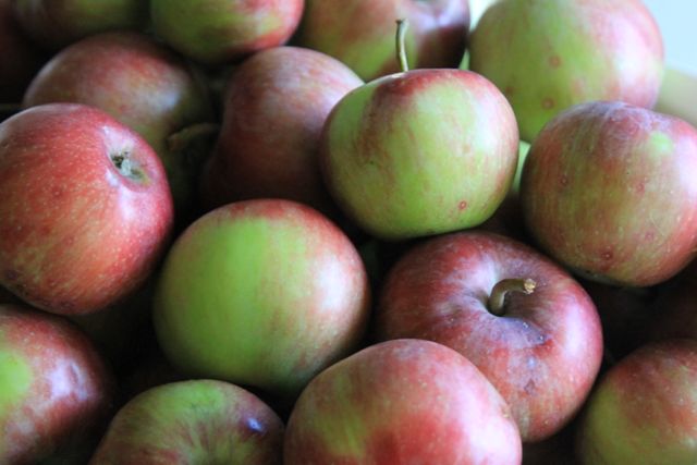 Dried Apples 1