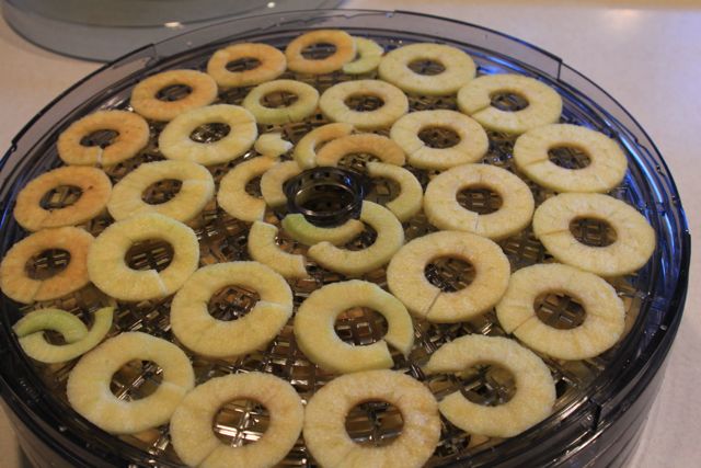 Dried apples 3