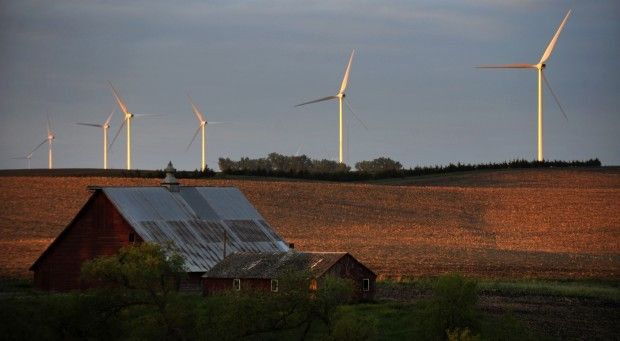 windmill farm