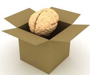 Brain Researchers find PTSD Marker