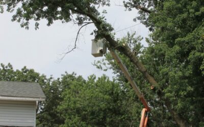Bye, Bye, Barbie Zipline