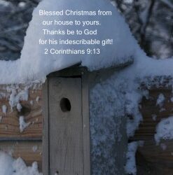 Merry Christmas!