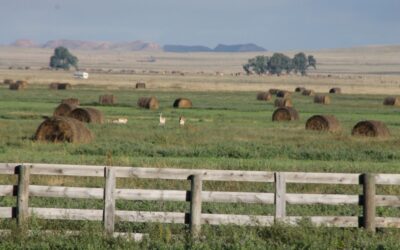 Top Ten Things to Love about Harding County