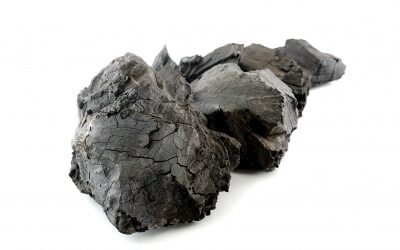 Top 10 Reasons for a Lump of Coal in my Christmas Stocking