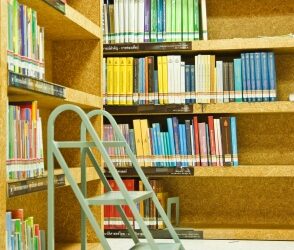 Top Ten Reasons to Love Libraries