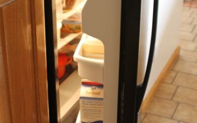 Top Ten Scary Things Lurking in My Refrigerator