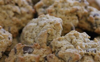 Dairy-Free Chocolate Chip Oatmeal Cookies