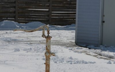Top Ten Things to Like about Snowstorms