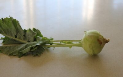 Ode to Kohlrabi