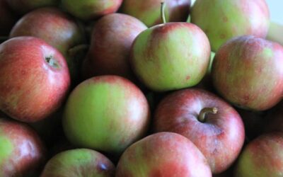 Dried Apples