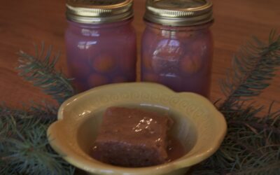 Wild Plum Pudding: Back By Popular Demand