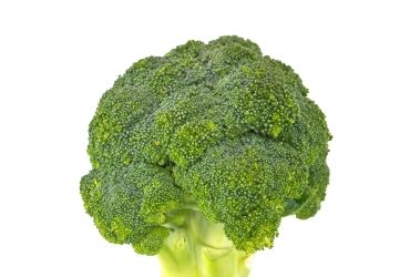 Broccoli Obama and Other Presidental Trivia