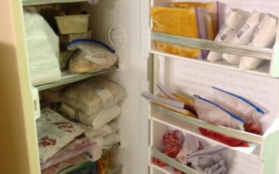 Top 10 Signs It’s Time to Defrost the Deep Freeze