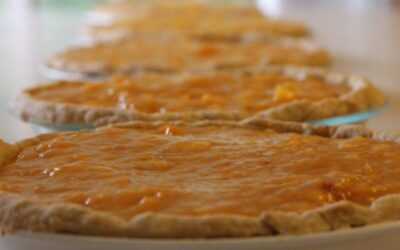 In Honor of National Pie Day