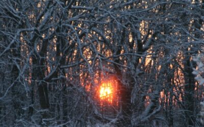 There Are Winter Blues and Then There are WINTER BLUES!