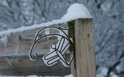 Top Ten Items for a Winter Survival Kit