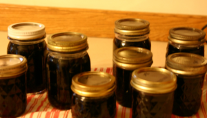 Wild Grape Jelly/Syrup