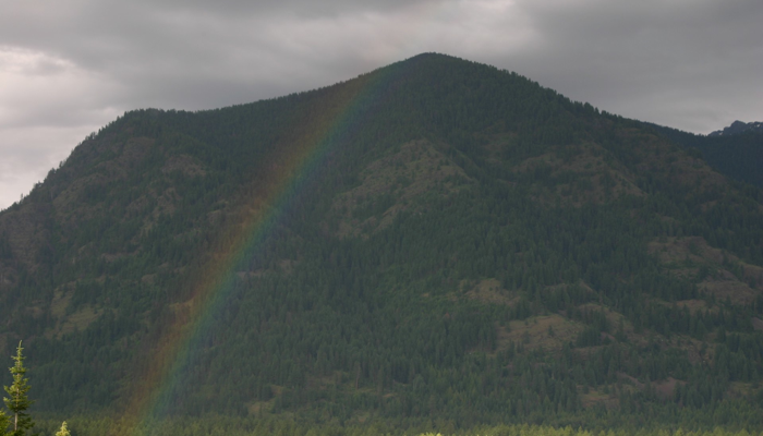 Rainbows in Paradise for this Fantastic Friday