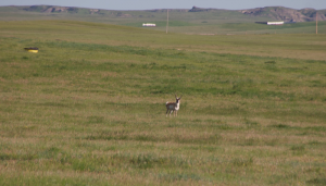 A Piece of Harding County