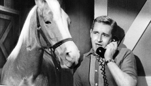 His Name Was Mr. Ed