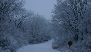 Cold, But Not That Cold