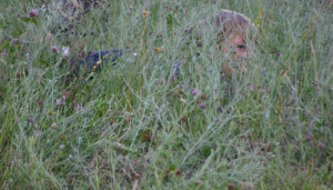 Hiding in the Grass