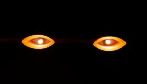 A Pair of Penetrating Eyes