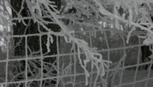 Long Winter: The Sequel