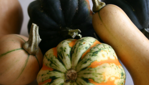 Squash, Squash, Squash