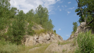 Sioux City Sue