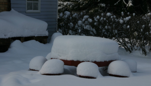 Why Winter? Why?