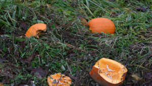 Smashing Pumpkins & Meth Labs