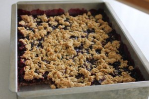 Blueberry Crumble Bars