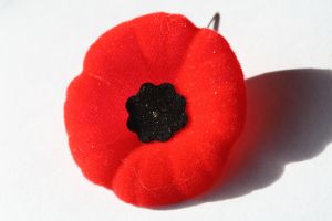 Veteran’s Day 2014: Thank You