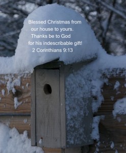 Merry Christmas!
