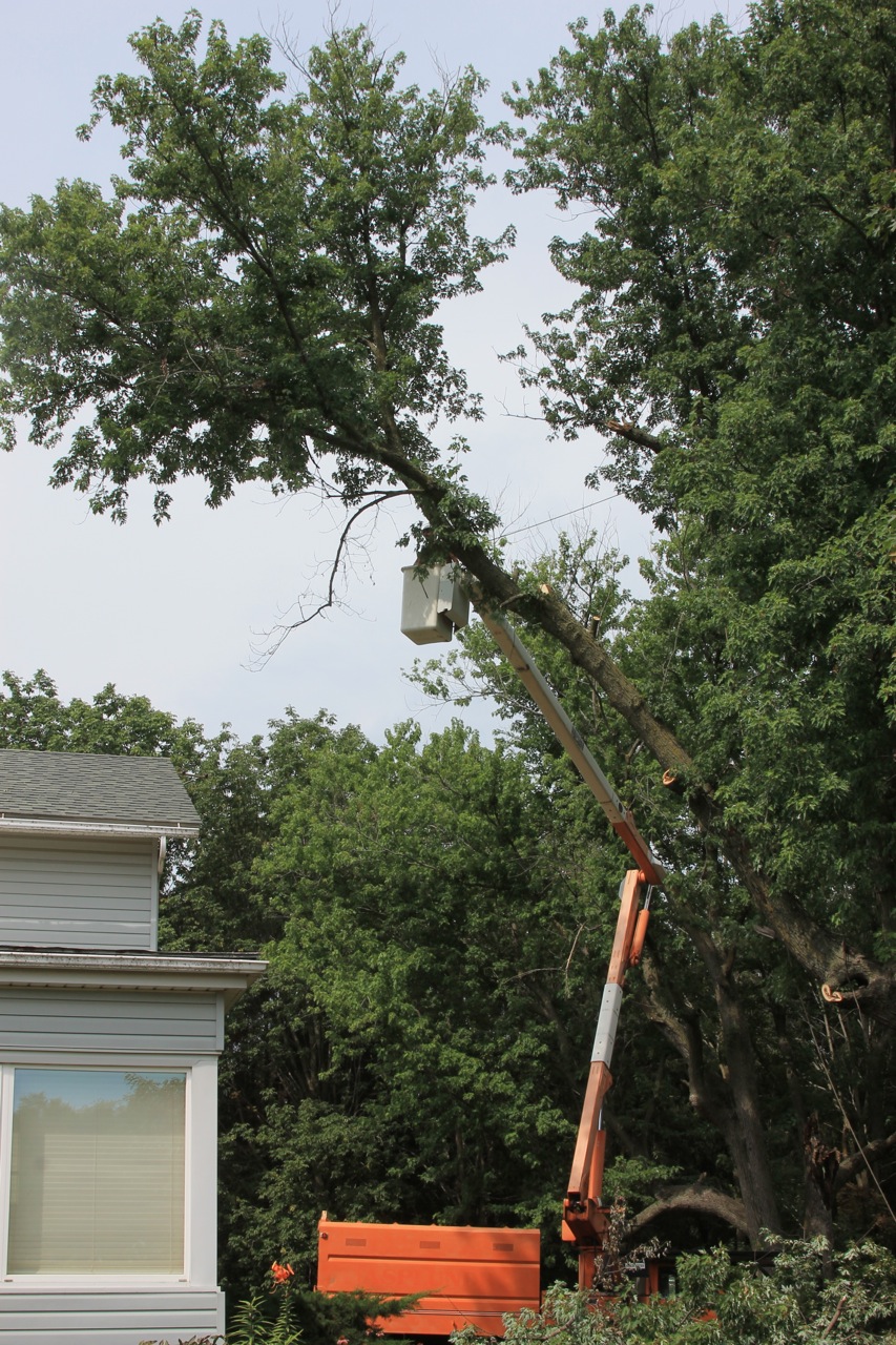 The Demise of a Barbie Zipline on this Fantastic Friday