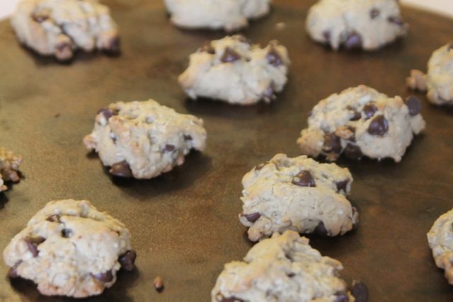 Chocolate Chip Cookies Made with DYI Butter Substitute