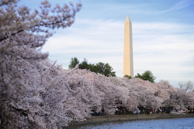 Top Ten Differences Between Iowa and the DC Metro Area