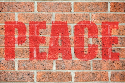 Different Dream Vlog Series: Words of Peace