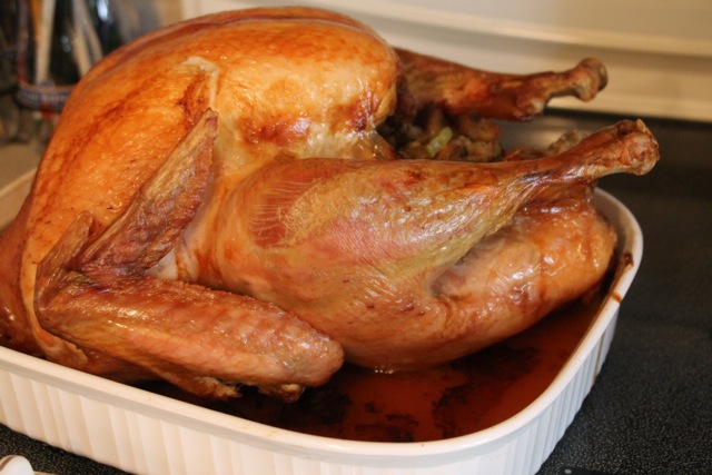 Top Ten Things to Be Grateful for This Thanksgiving