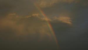 Walking Beside a Rainbow this Fantastic Friday