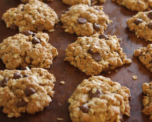 No Futter Chocolate Chip Oatmeal Cookies